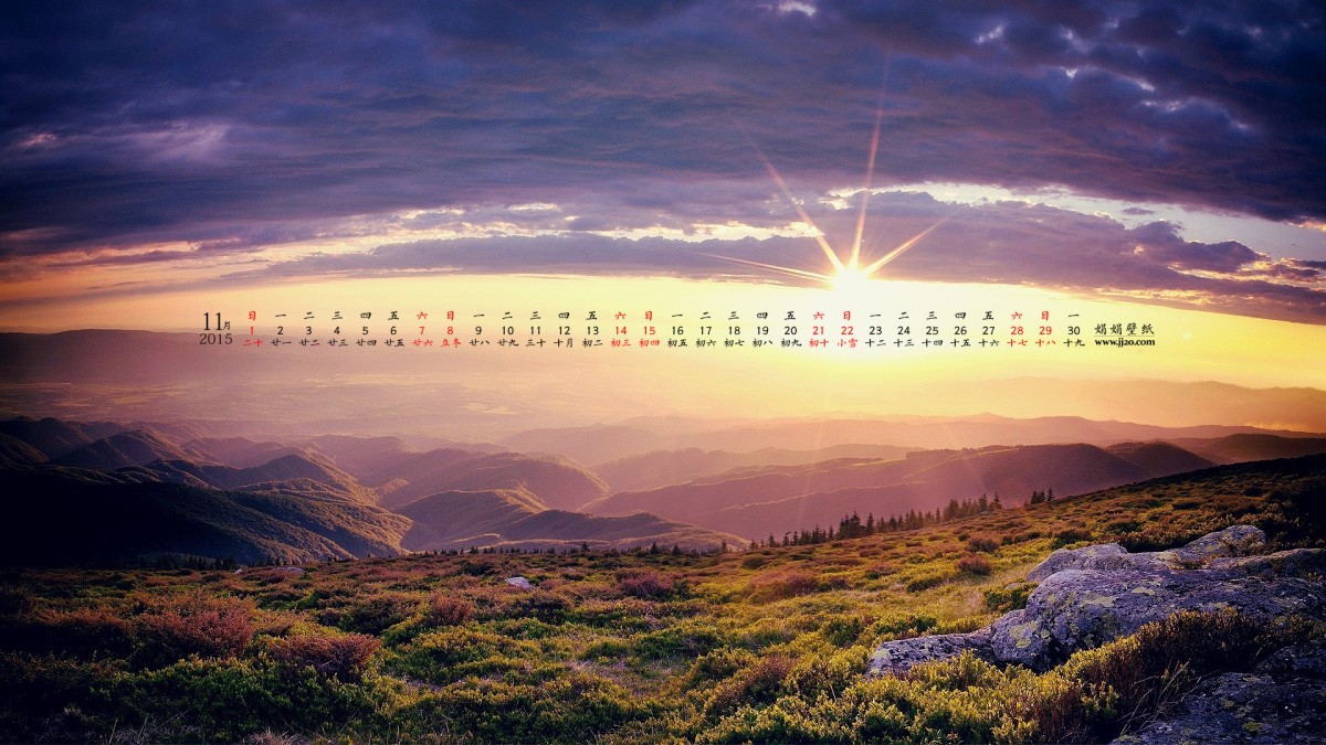 201511ֽ
