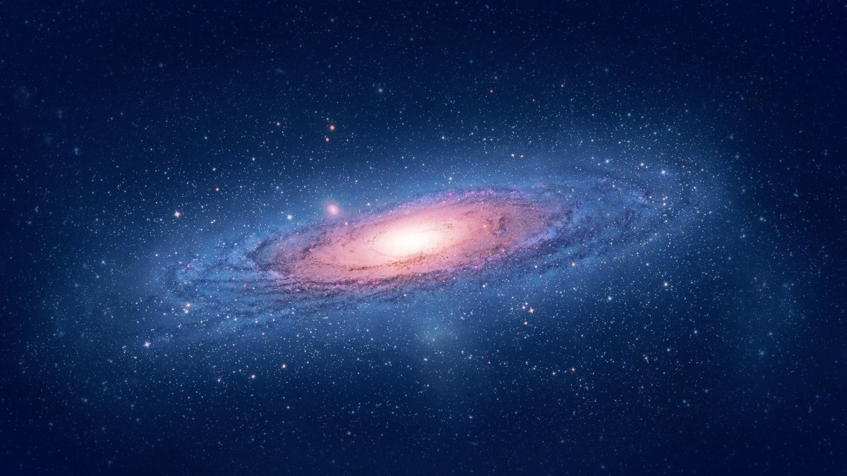 ƻǿձֽ
