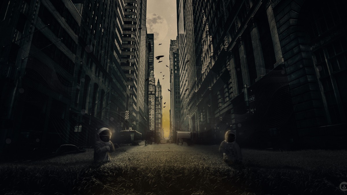 ֻ滭羰ֽ