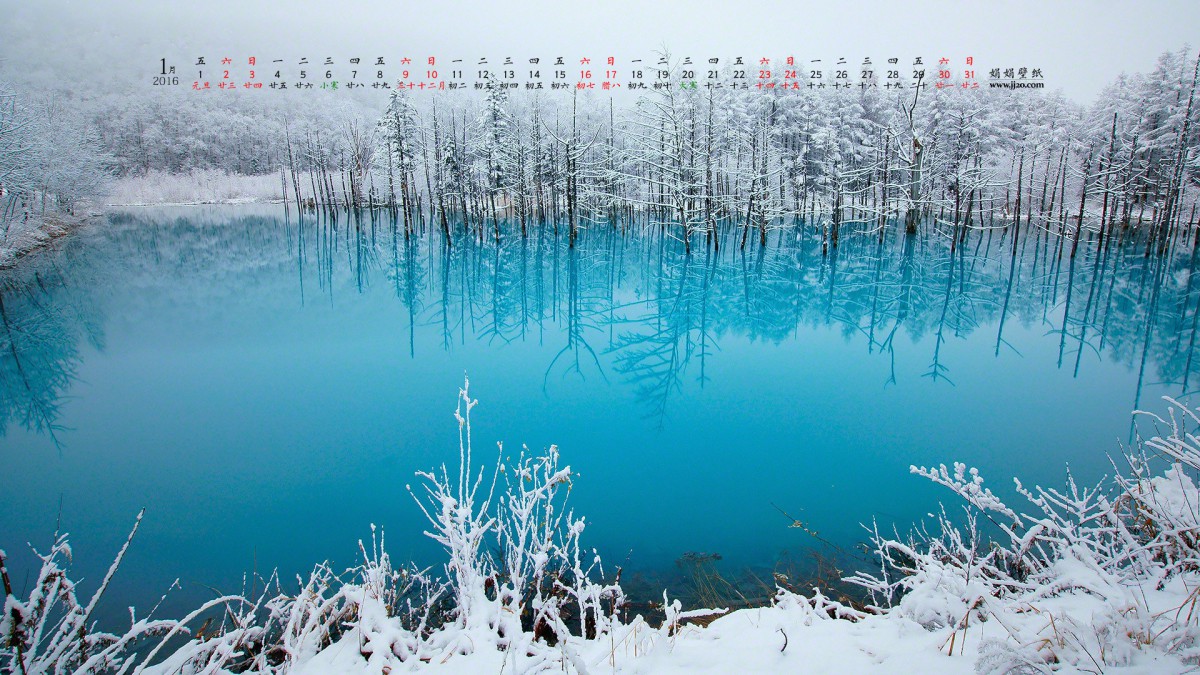 20161ֽ