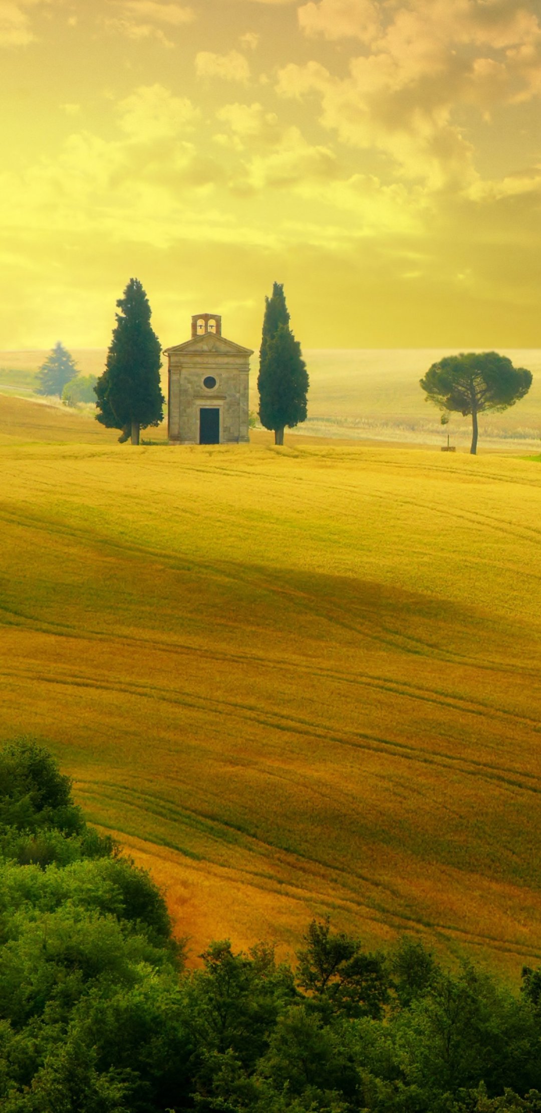 Tuscany˹ɣ羰ֽ