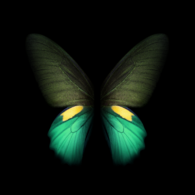 galaxy foldñֽ- Ϣ״̬ ɫ