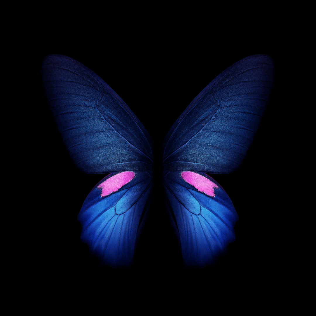 galaxy foldñֽ- Ϣ״̬ ɫ
