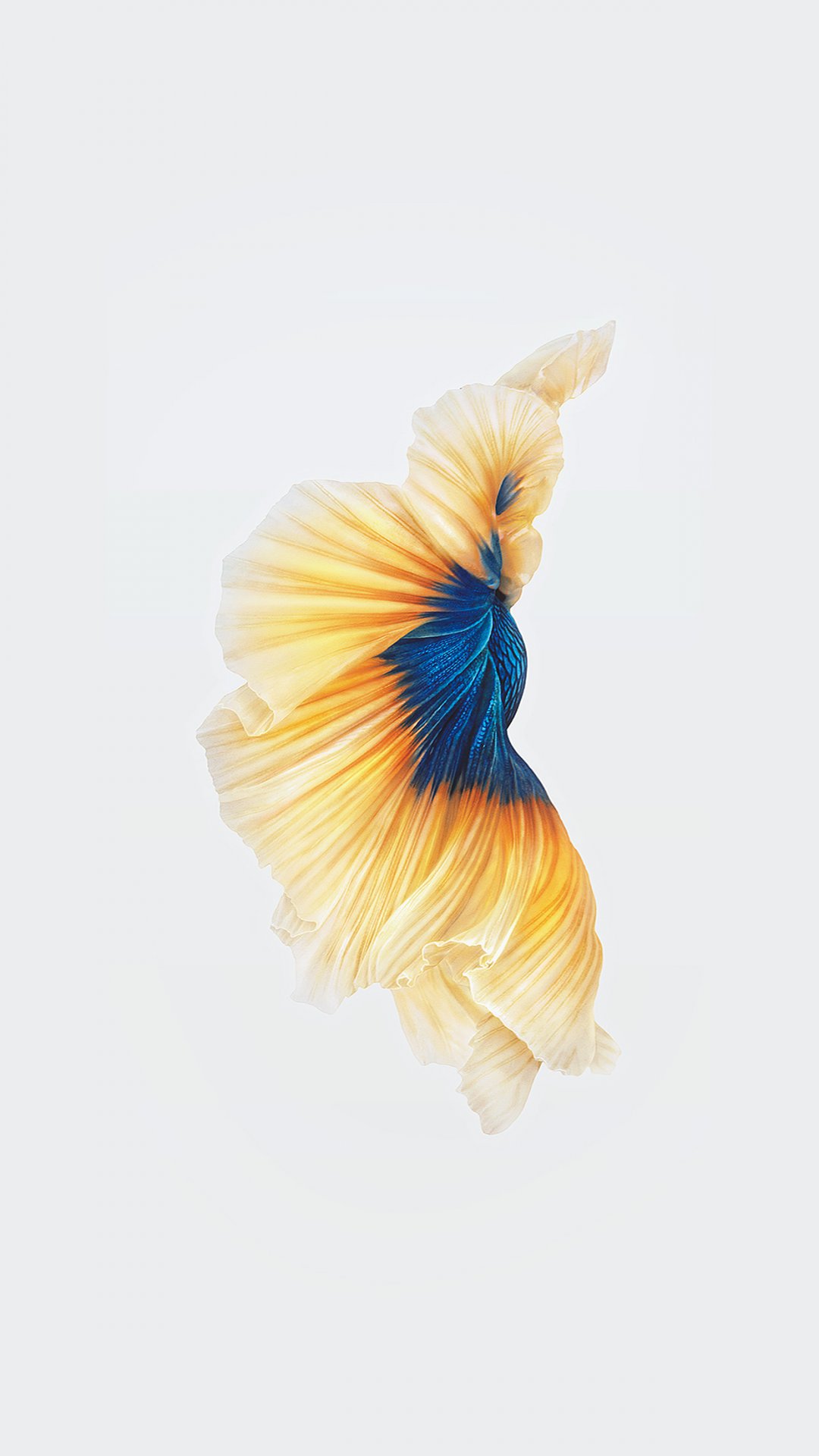 IPHONE6SĬϸ