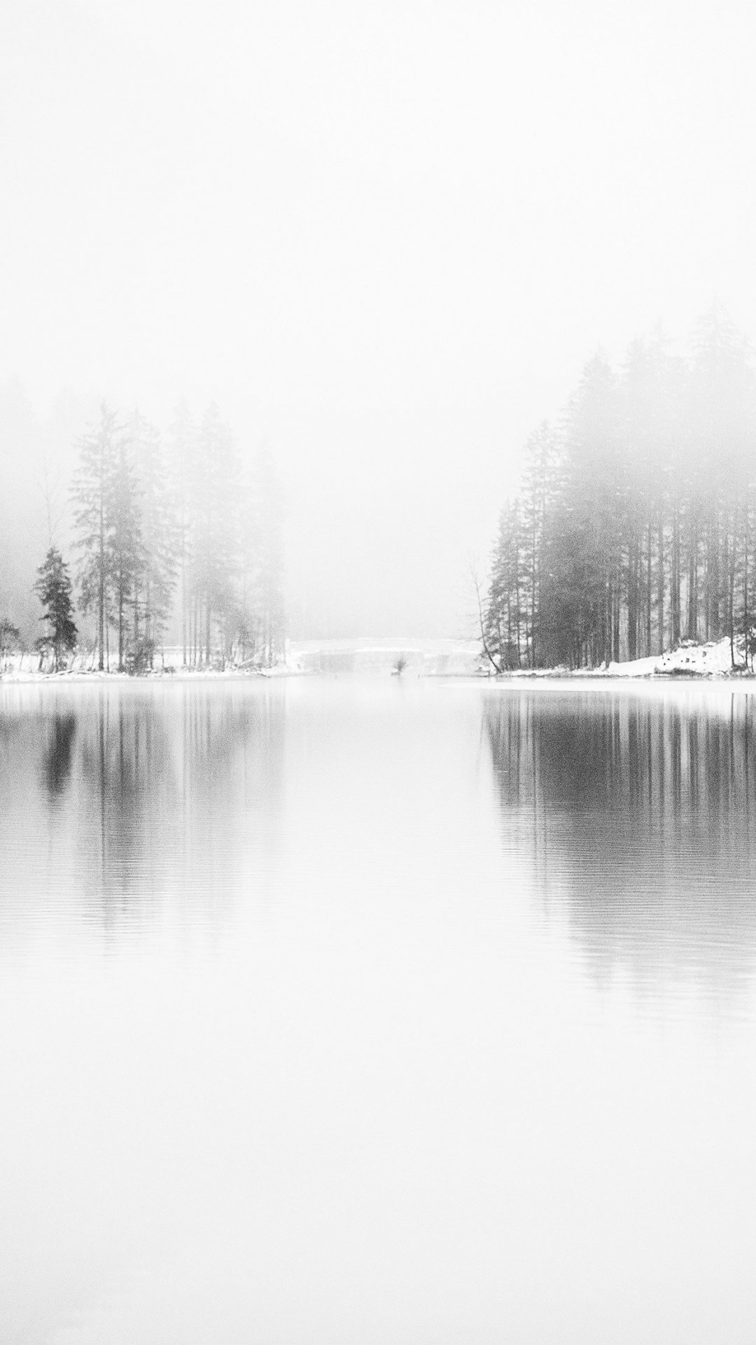 ѩɽϵĺΨֻ