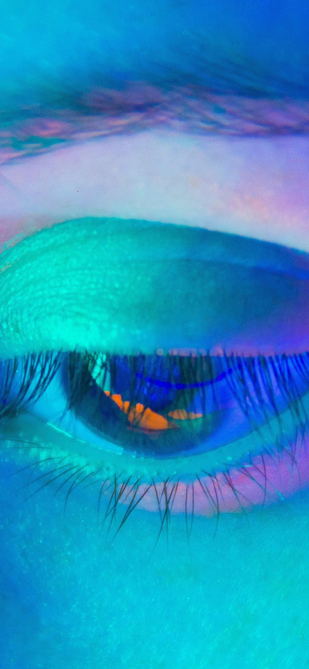 ŮʻױԴ
