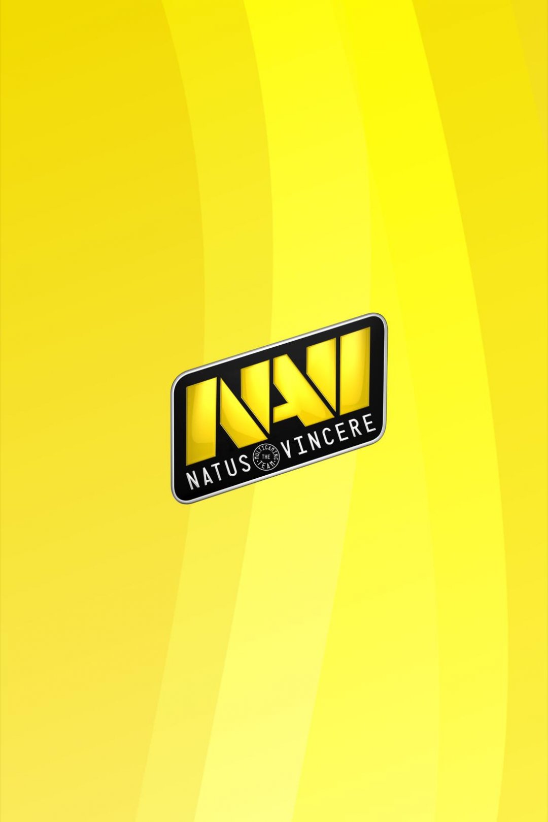 CSGOսNatus vincere  logo