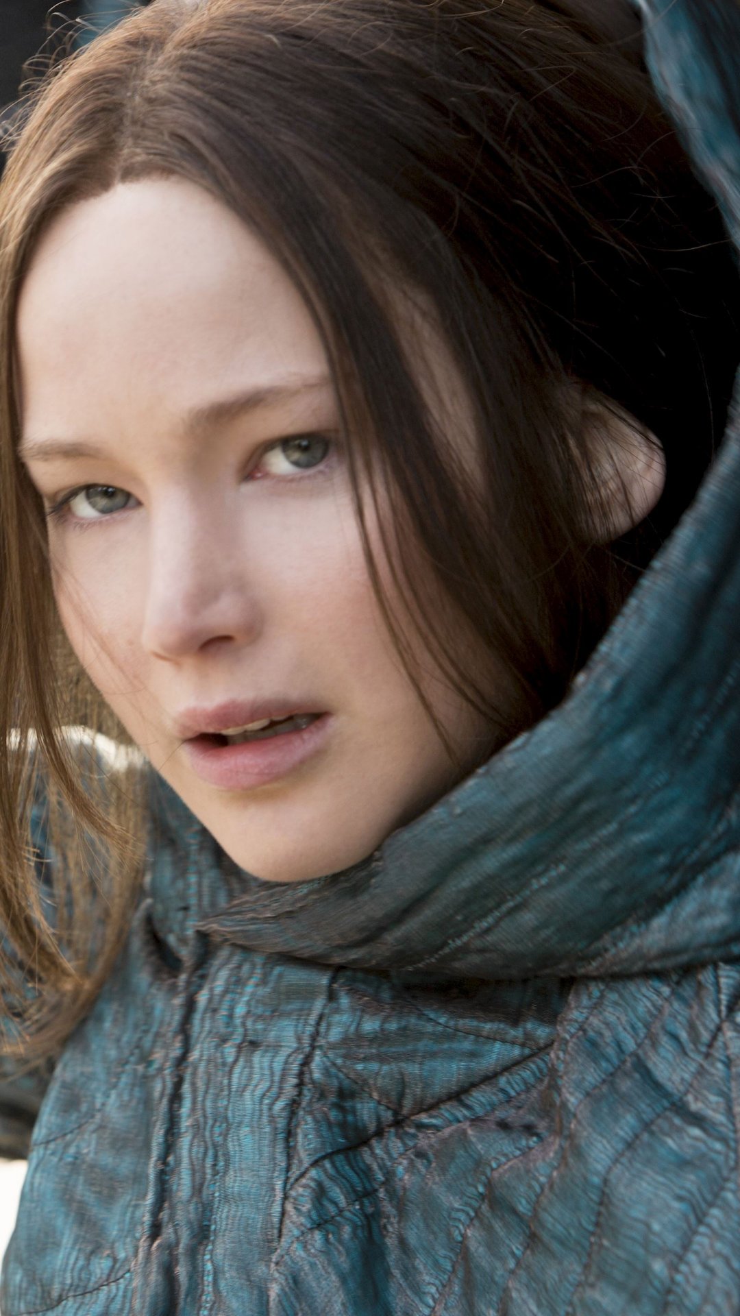ղݸ˹Jennifer Lawrence40