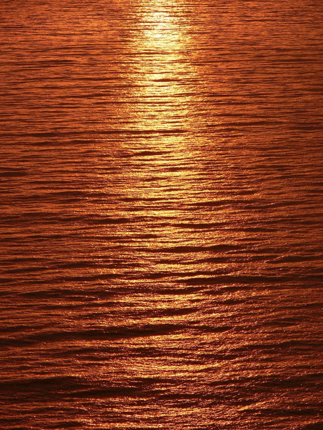     ƽĺ