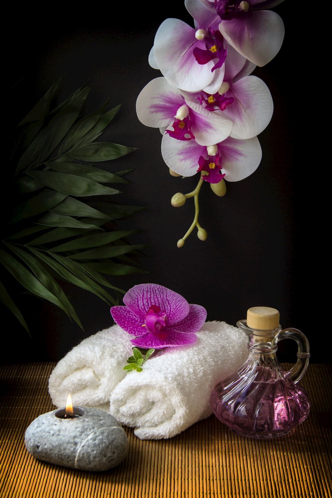 Ħ SPA 