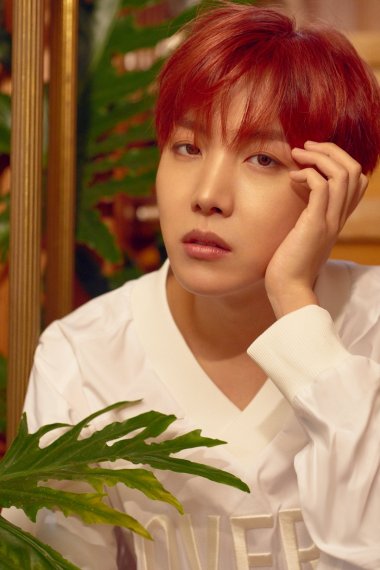֣j-hope칫