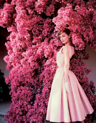 ձ Audrey HepburnɫƬ