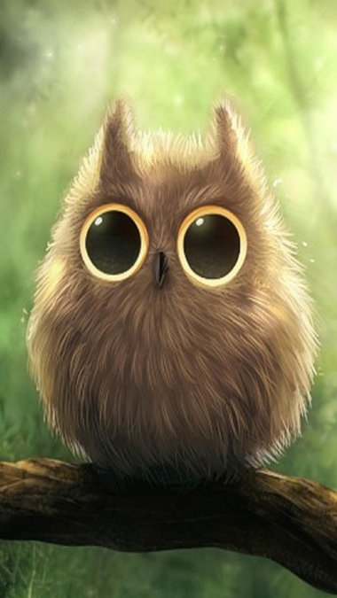 Cute Owl