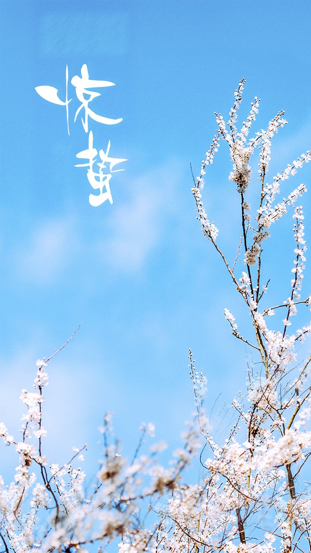 ¼ԼʮĽ֮