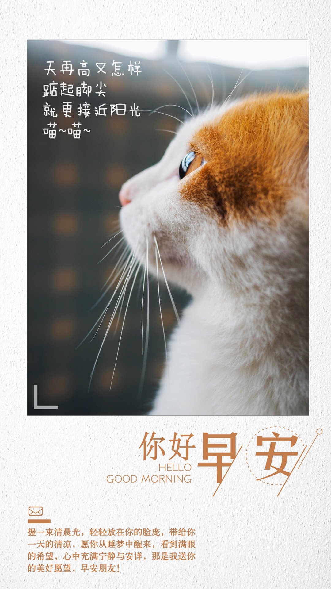 簲ɰè