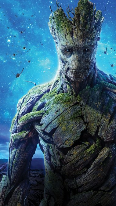 ˸³/Groot2014