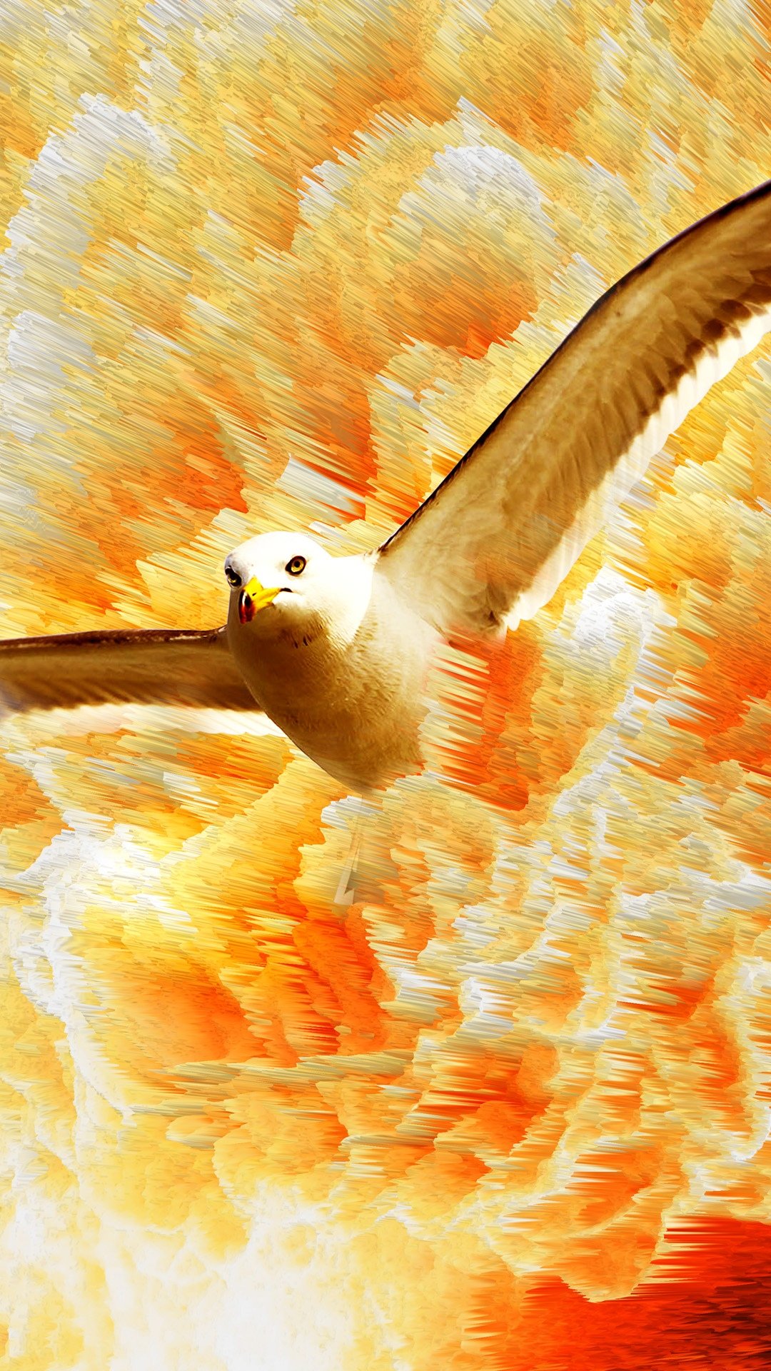 λʱӥ