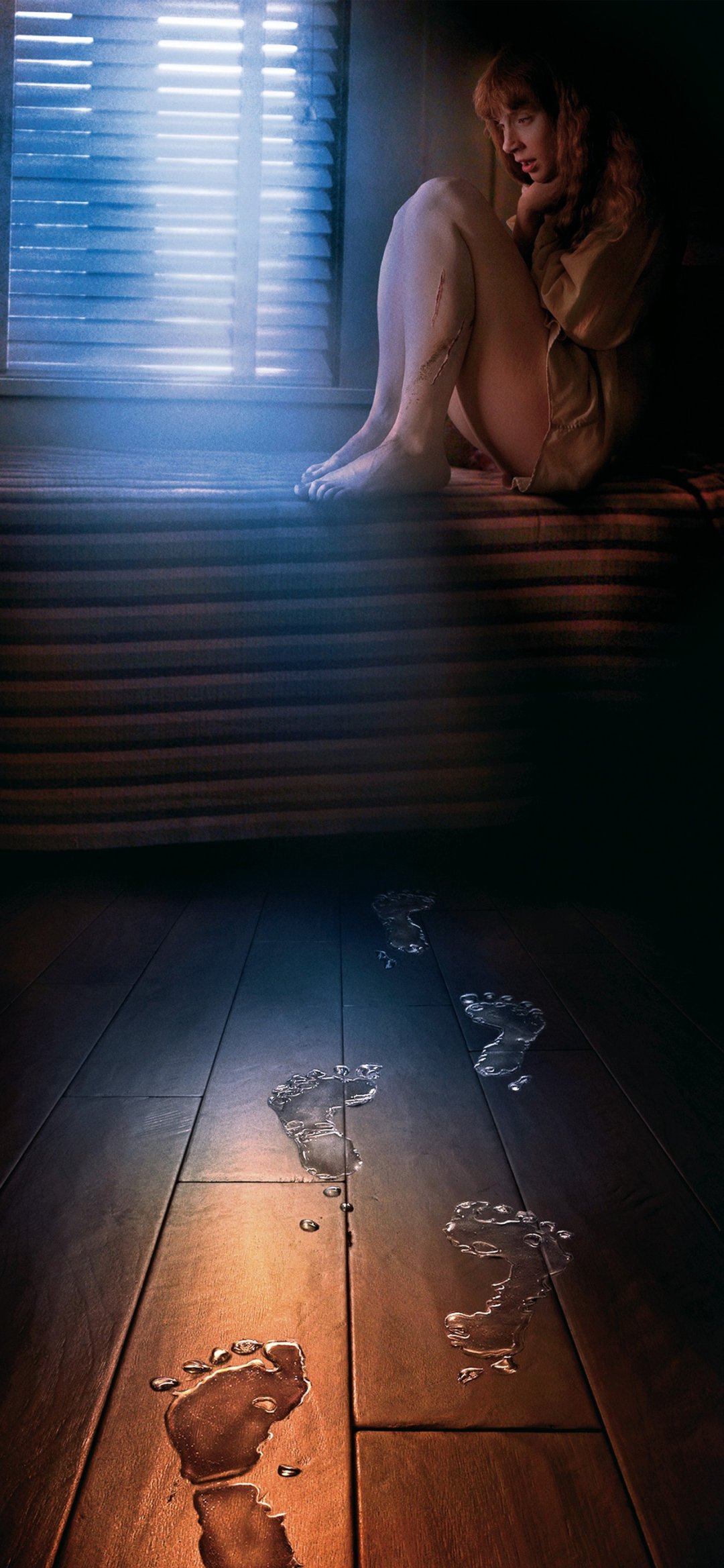 ˮŮ lady in the water(2006)