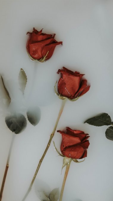 ʺõ廨