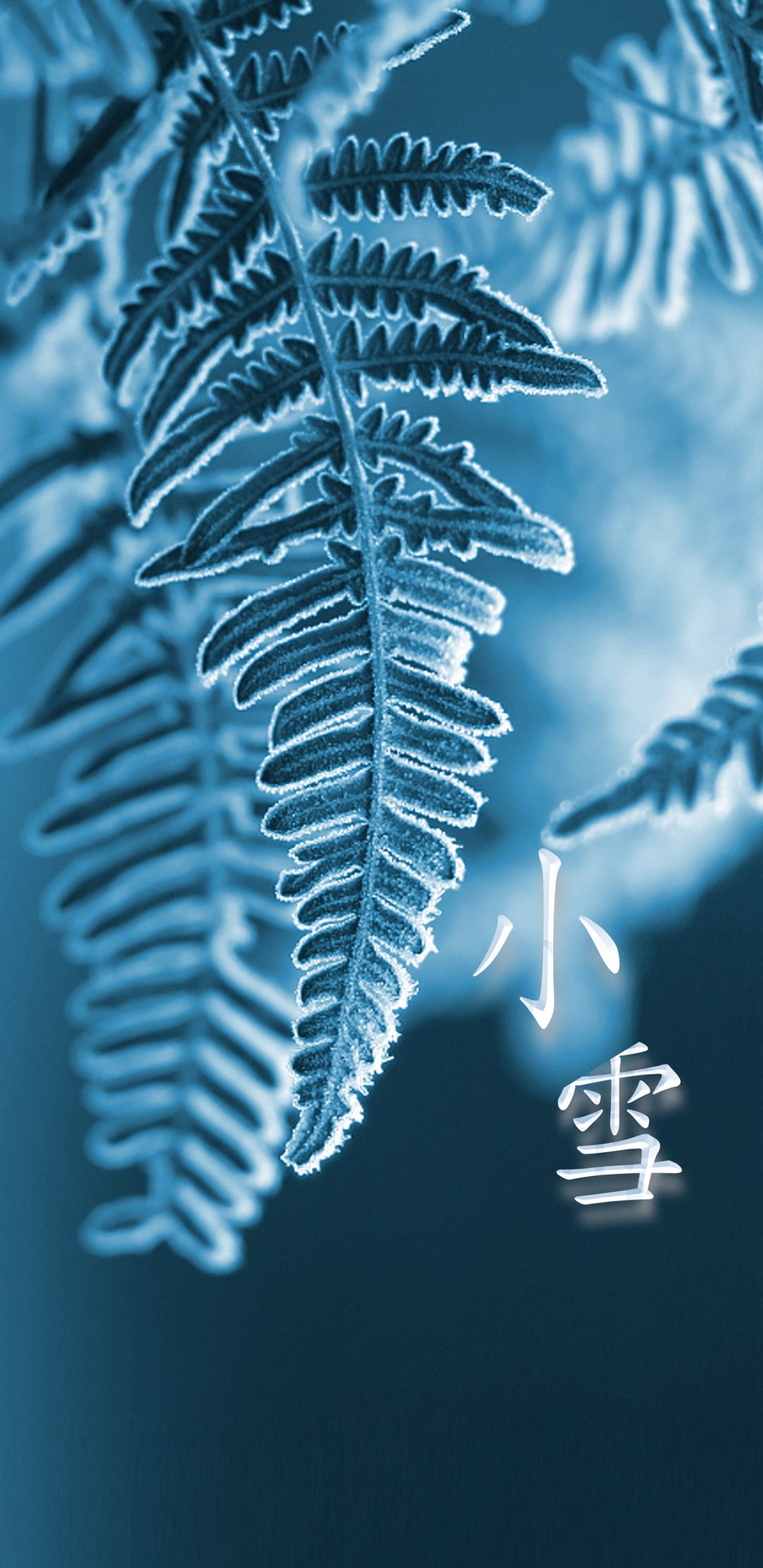 ҶϽ˪