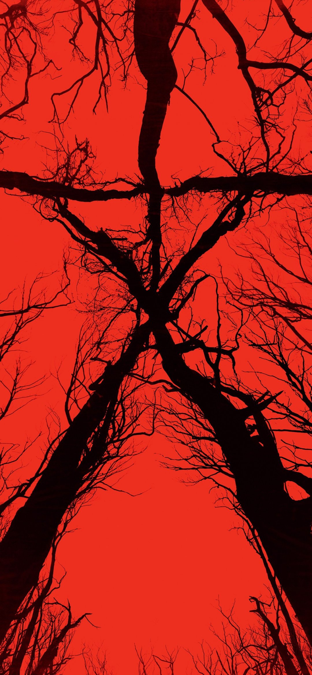 Ů Blair Witch(2016)