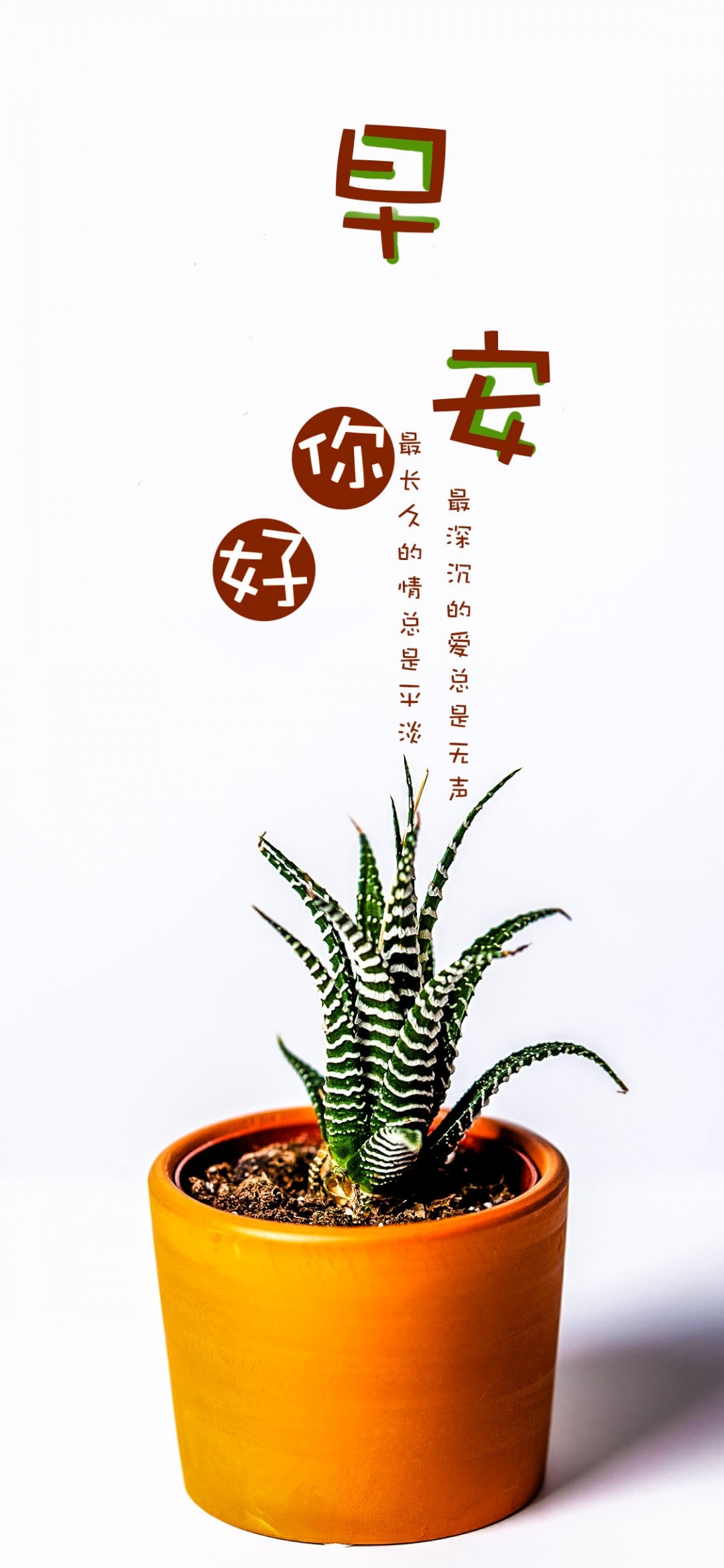 簲/İ