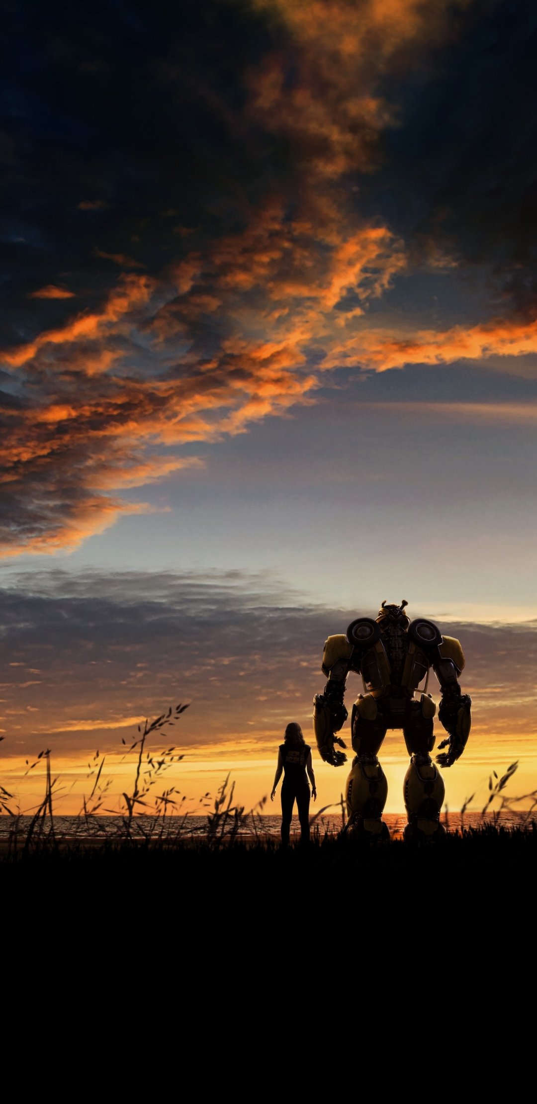 Ʒ bumblebee2018