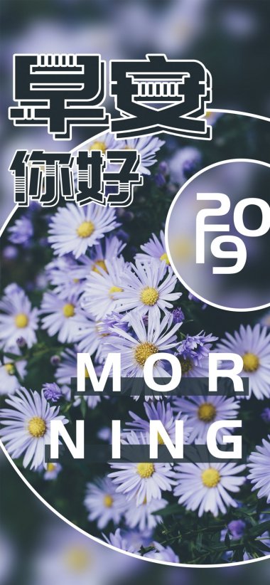 2019簲Ψ