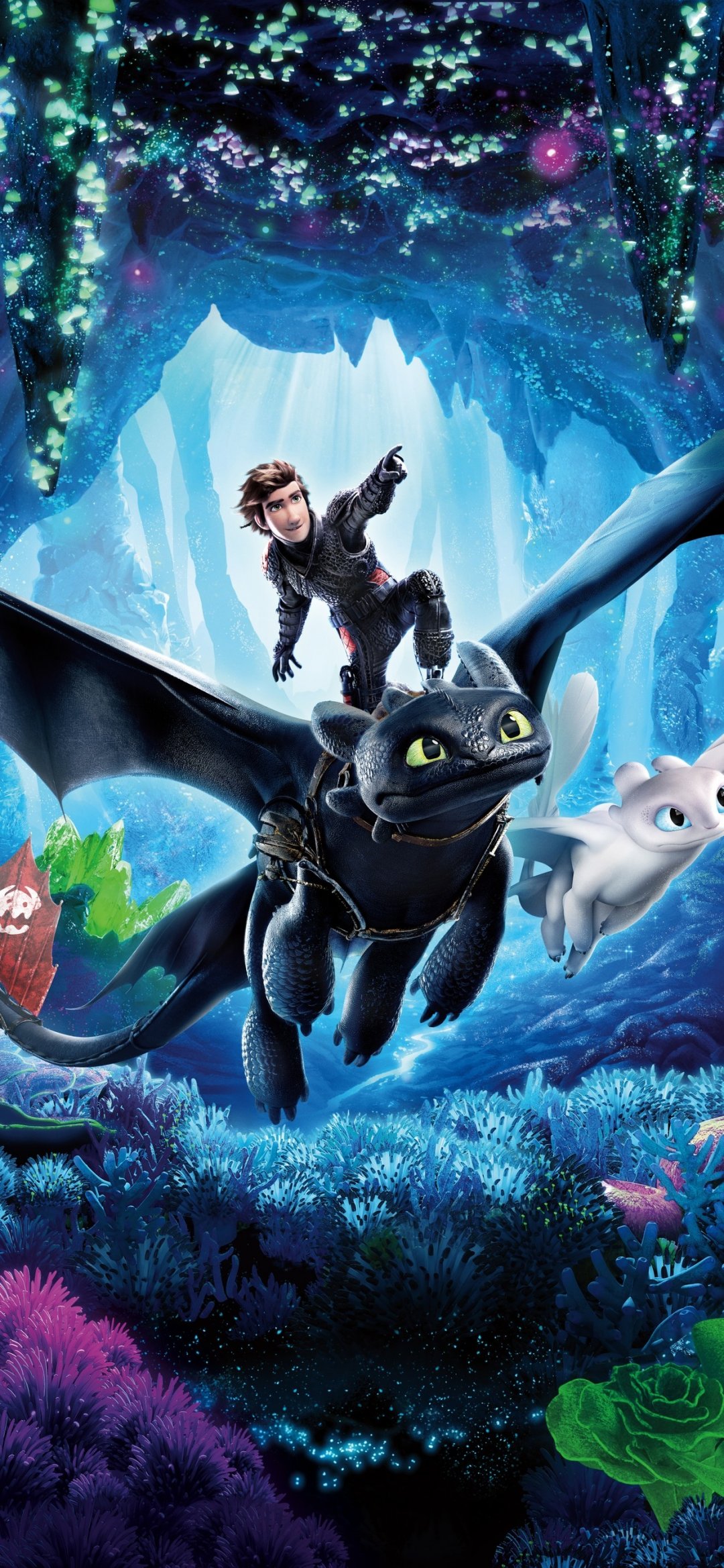 ѱ3 How to Train Your Dragon 3(2019)