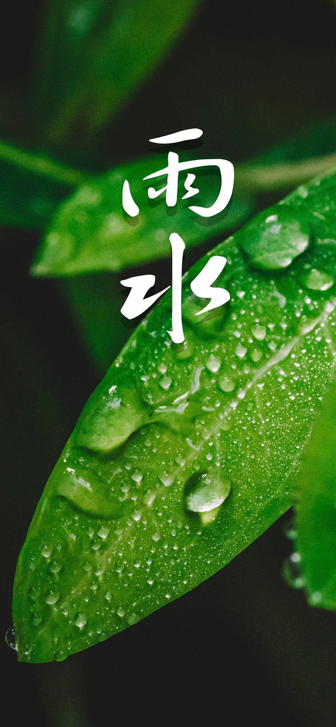 ĶʮĽˮ