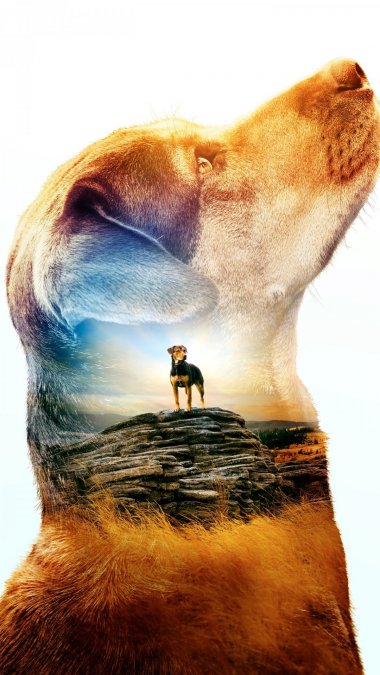 Ϊ A Dog's Way Home(2019)