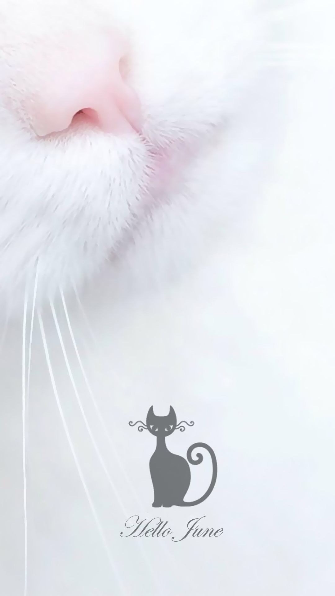 èµ