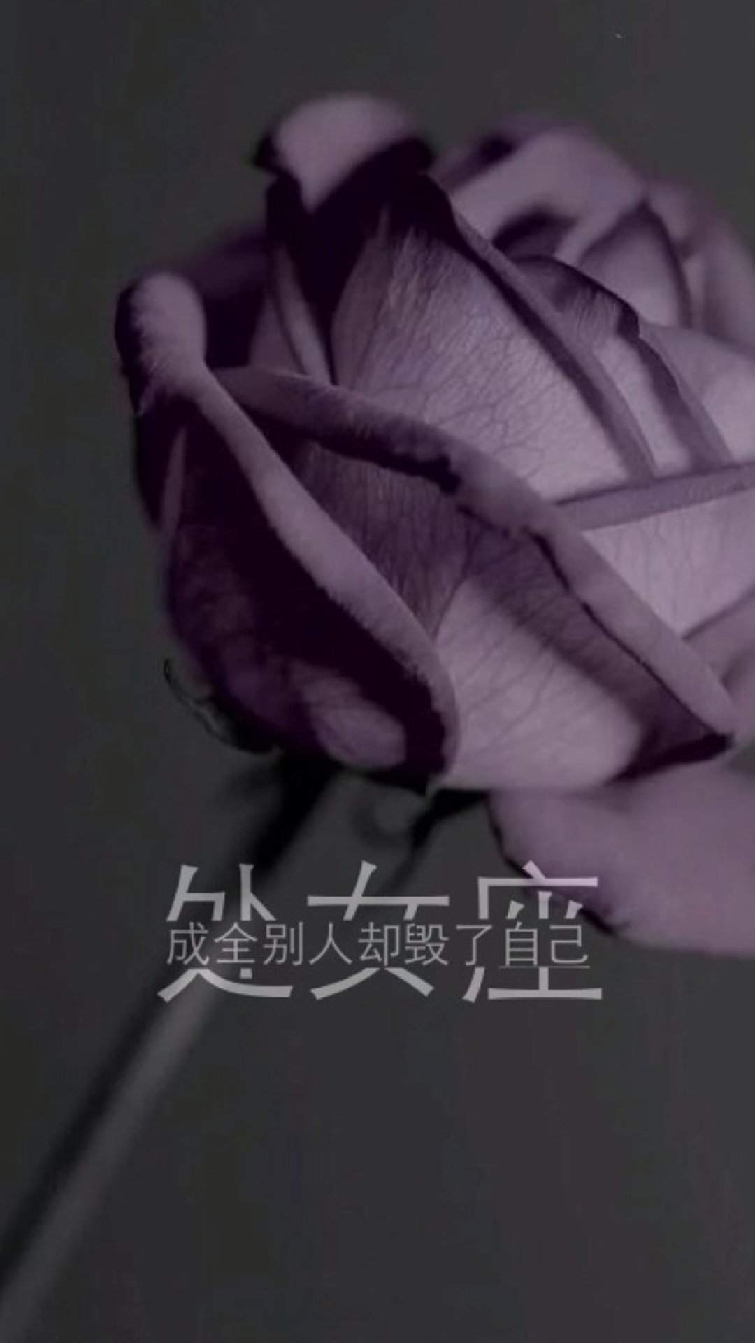 Ů:ȫȴԼ