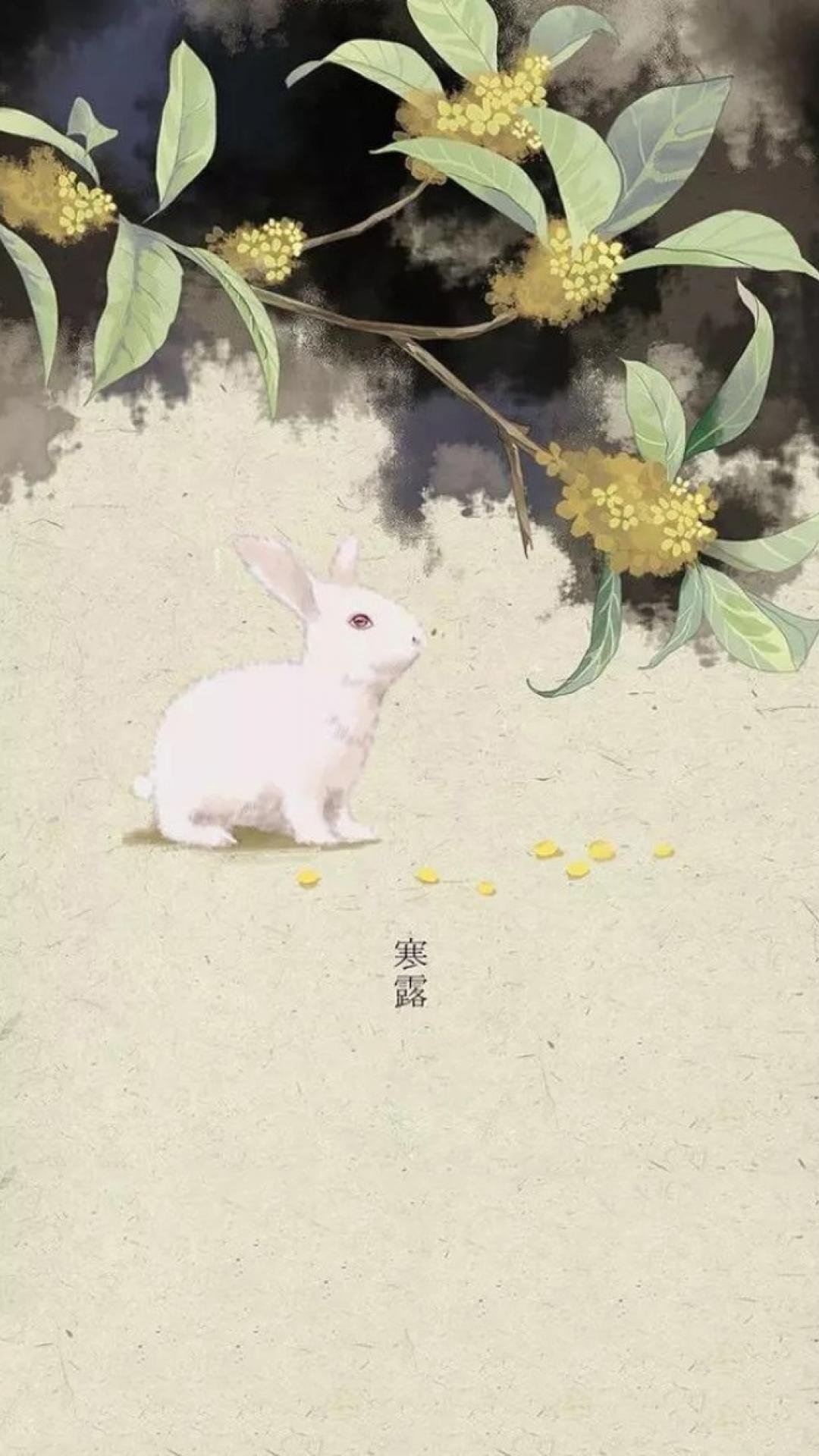 ¶֮ɰС