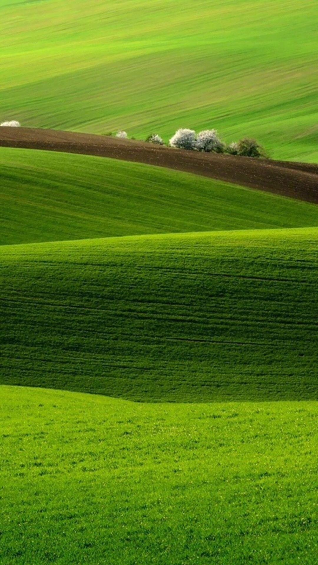 ĴȻԭ