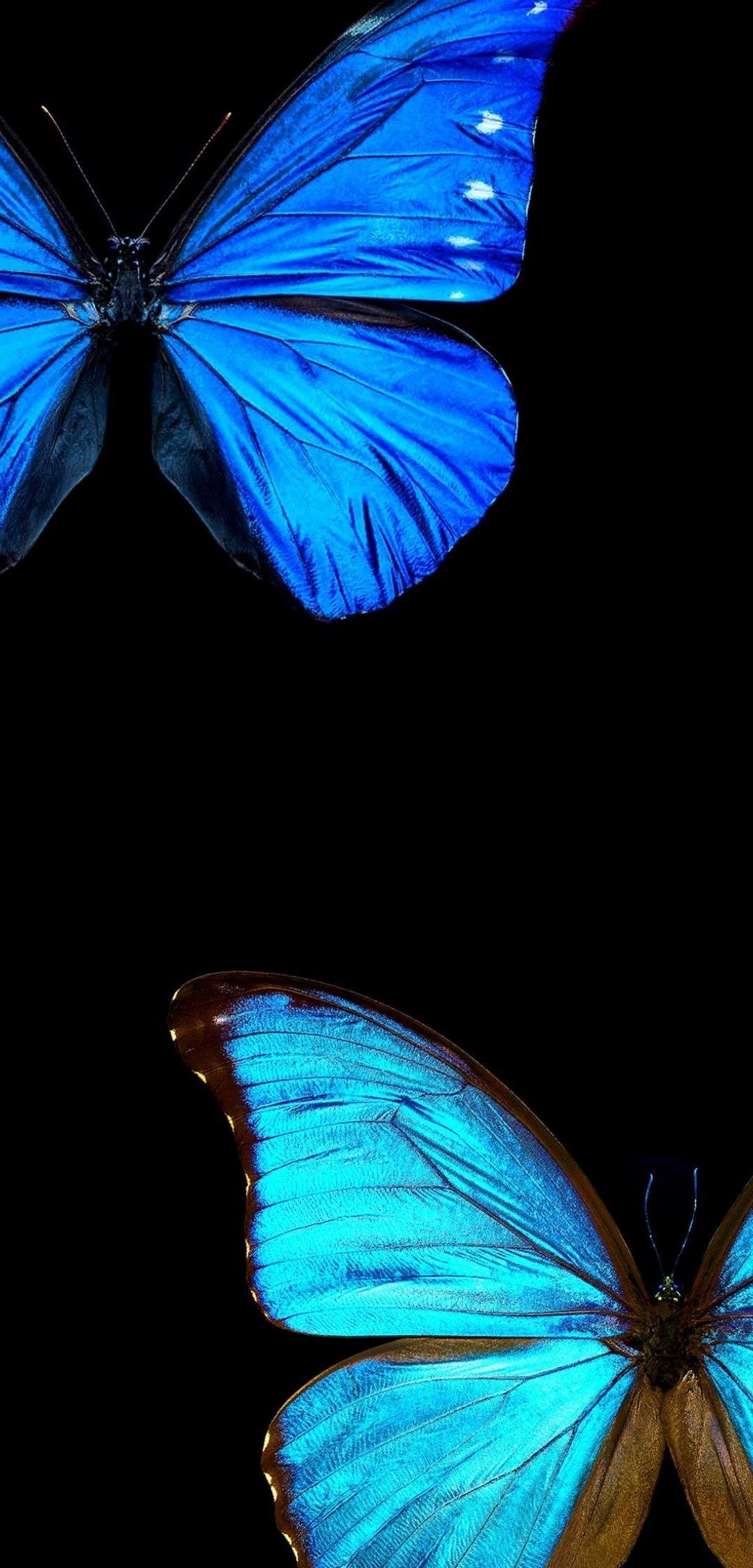 ɰλΨĺ