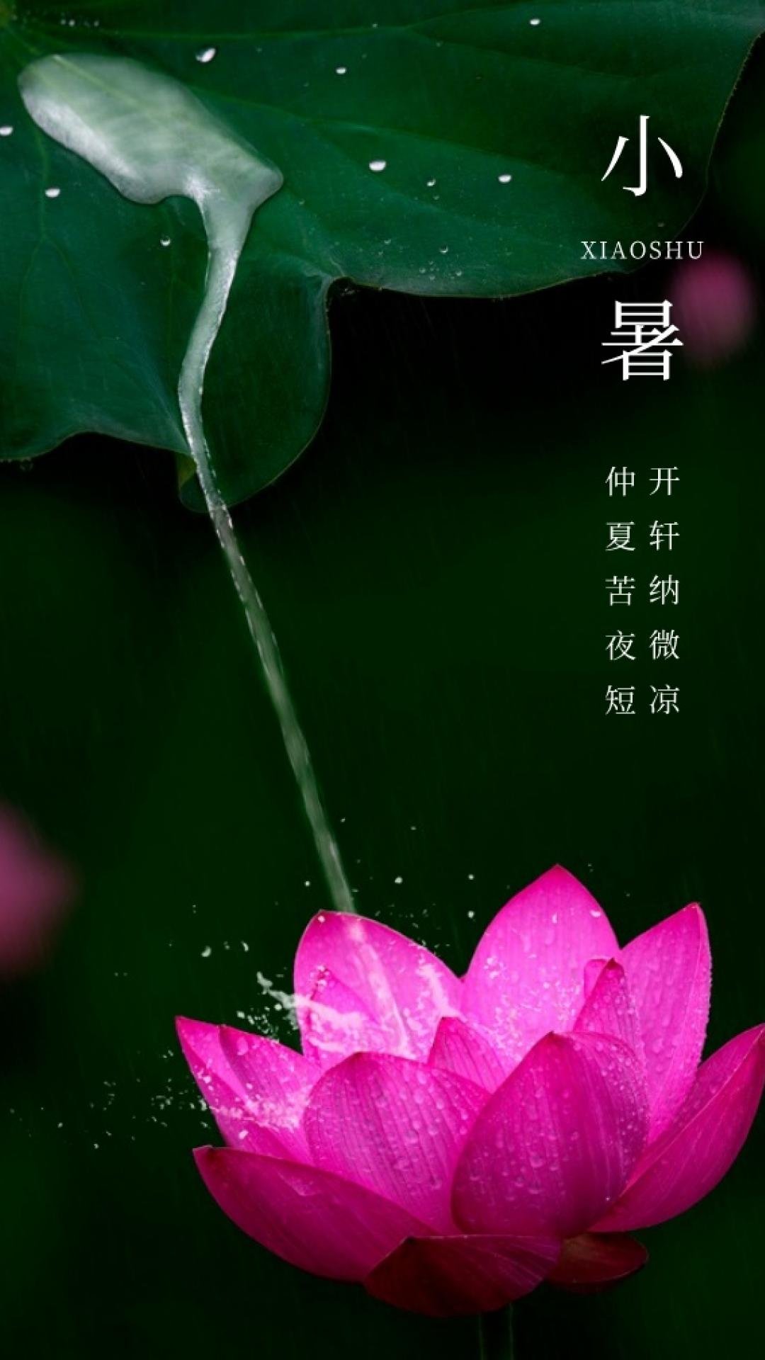 Сʫʺͺɻͼ