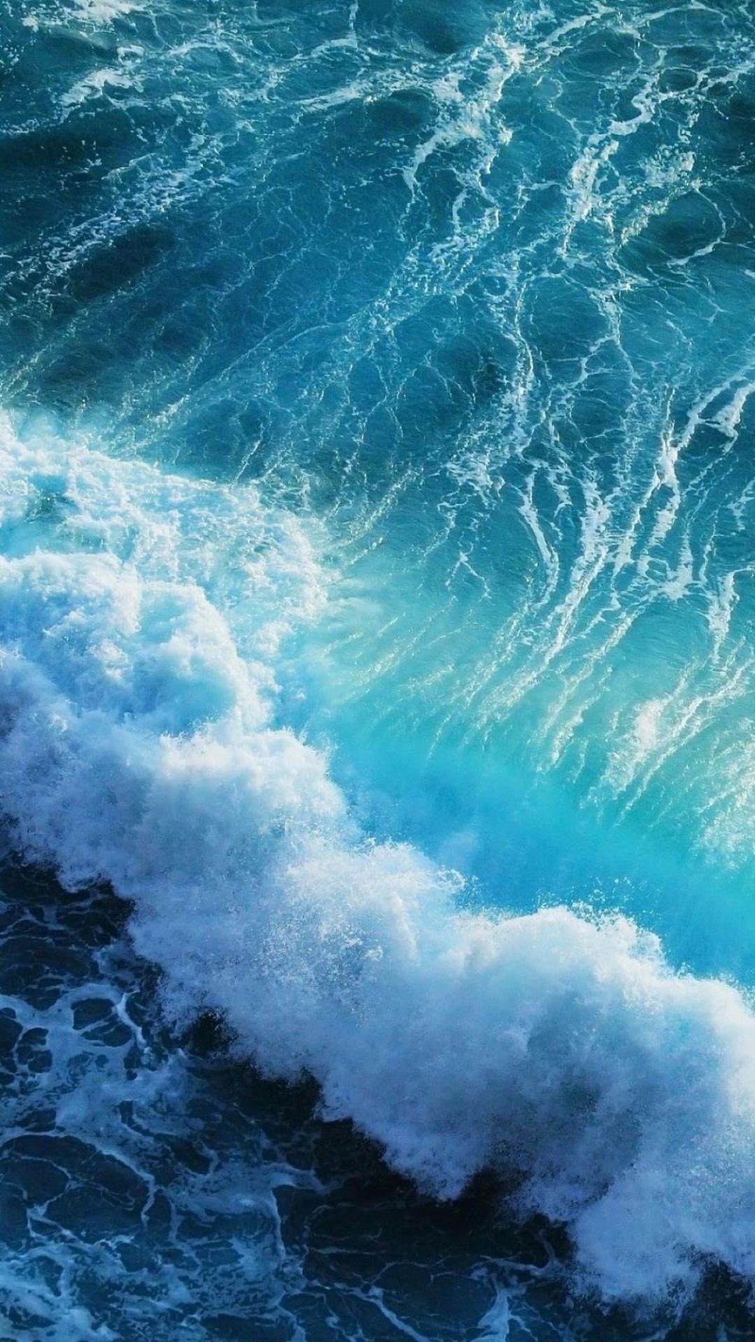 ˻羰