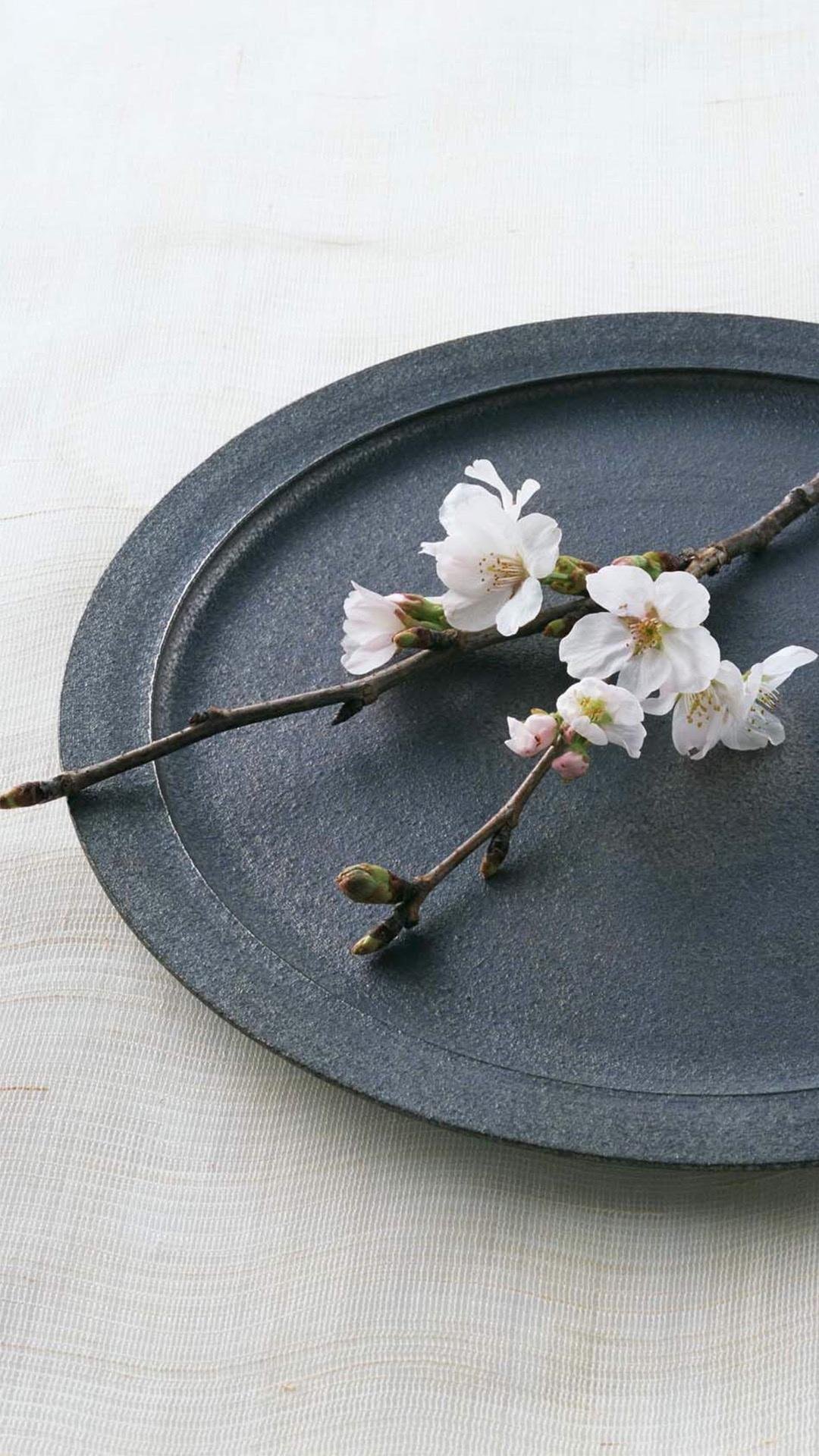 Sakuraӣ⾳д
