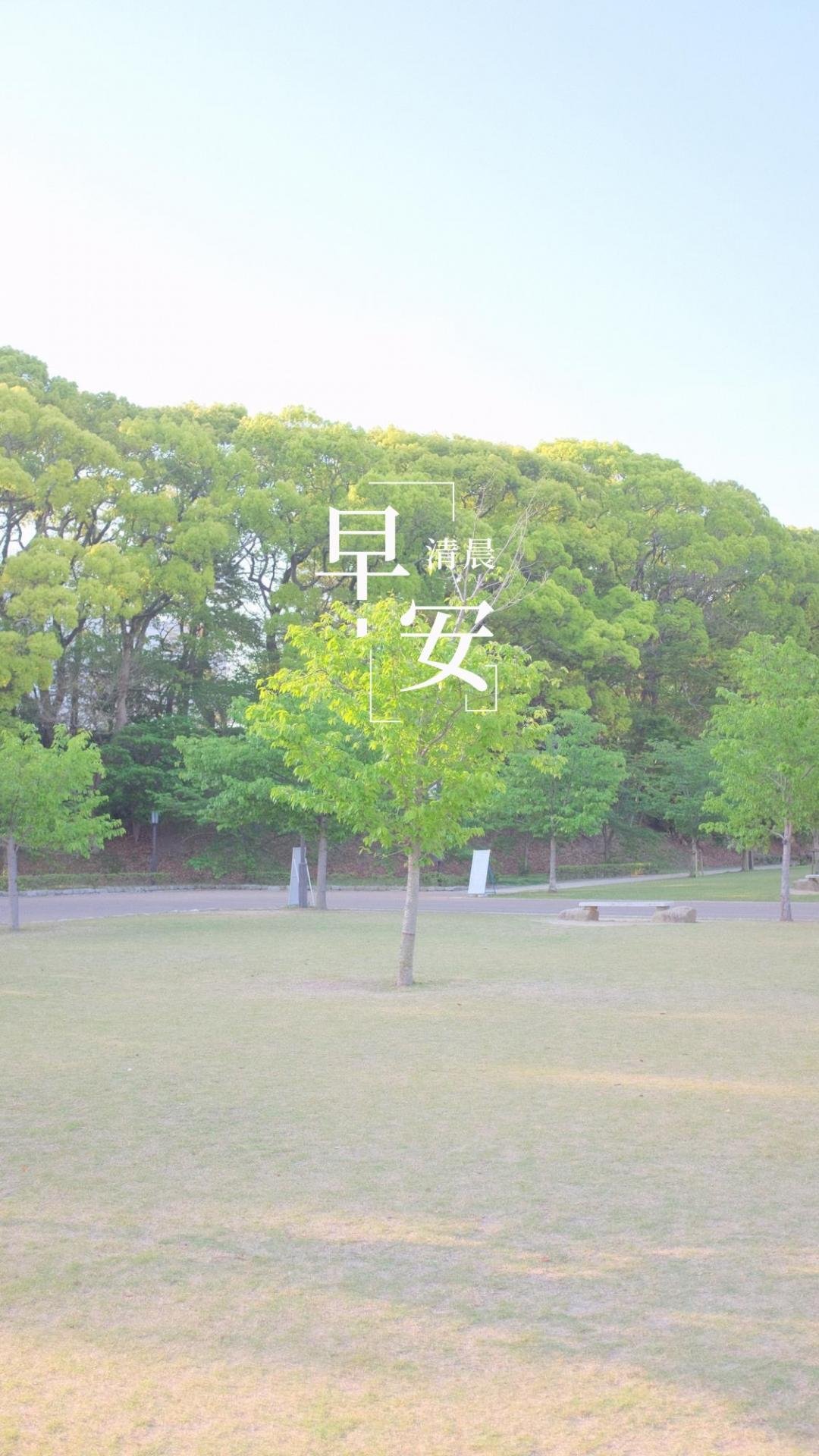 峿Ψ簲˵˵