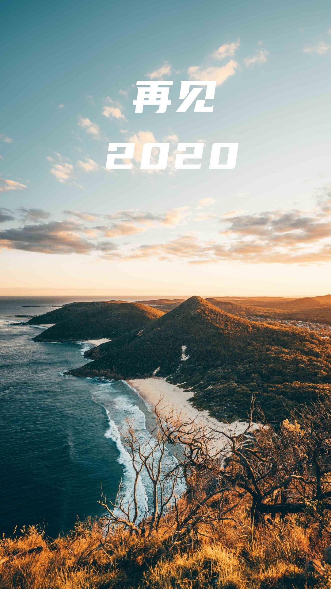 2020˵ټ