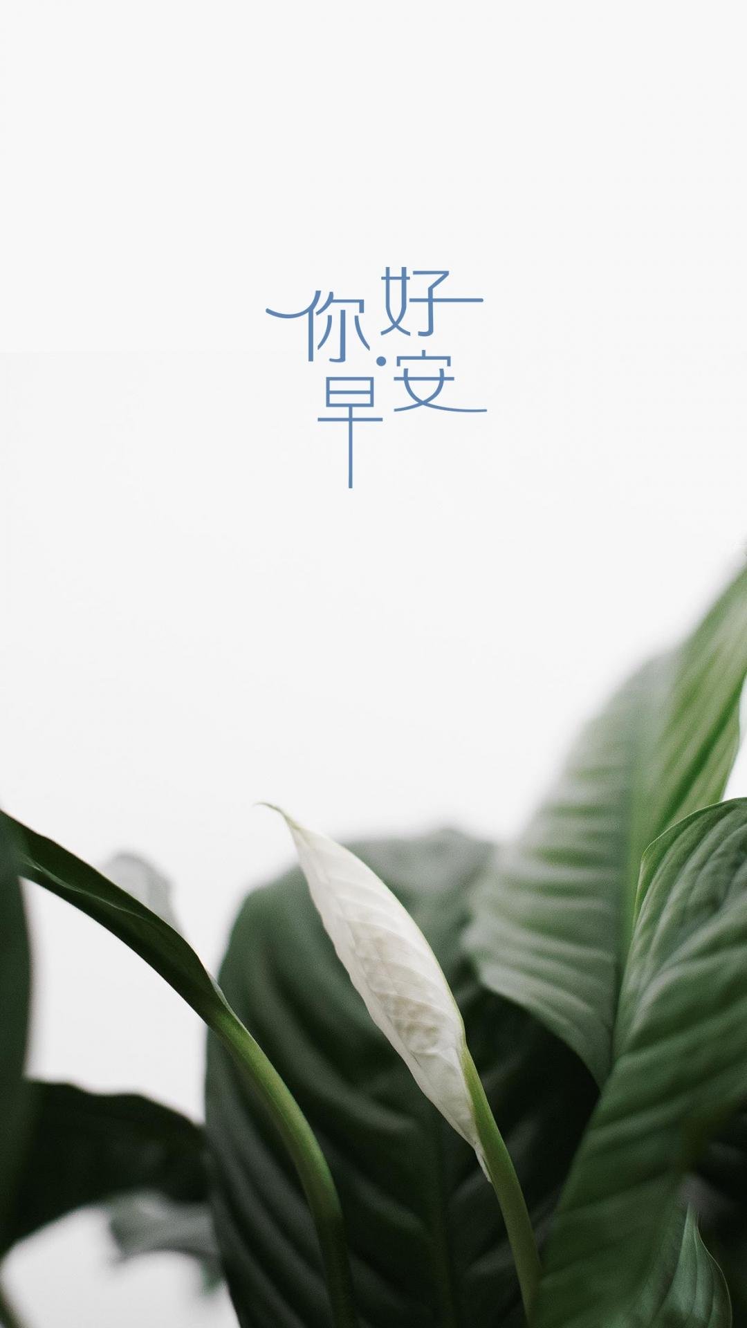 簲Ψ۷