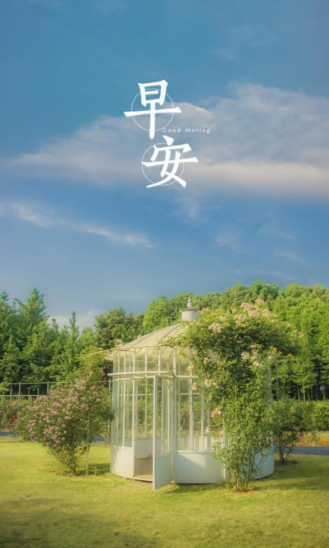 簲˵ķ