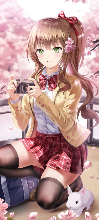 ӣ @ β ɫȹ ɫ  