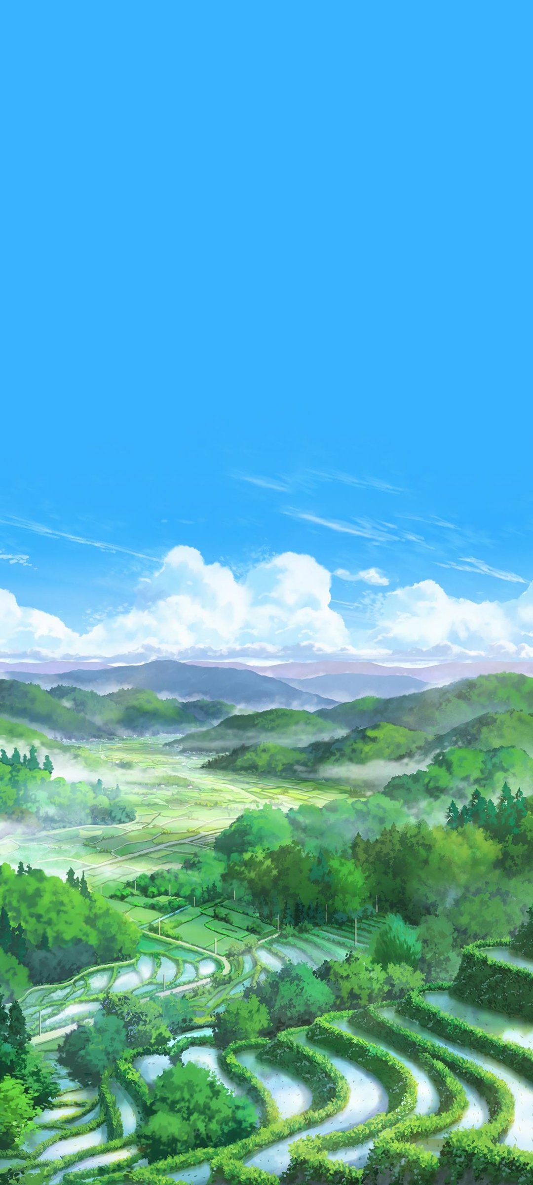 羰  ȫֽ