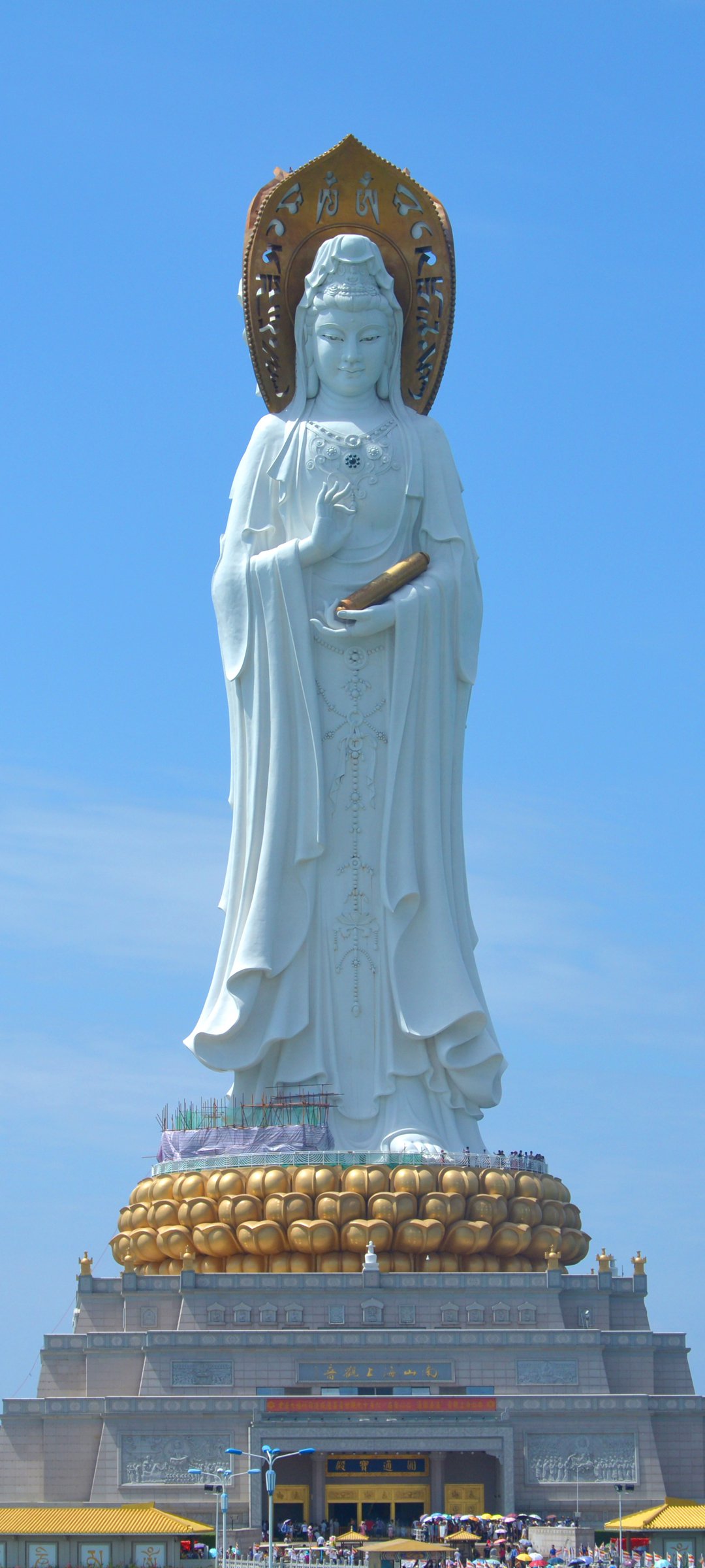 ɽϹֽ