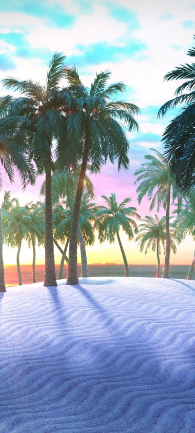 Ҭ羰ͼƬֽ