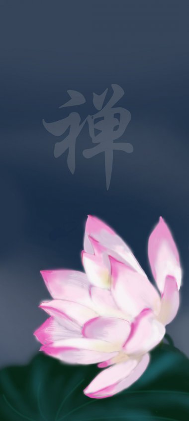 ɻ  йȫֽ