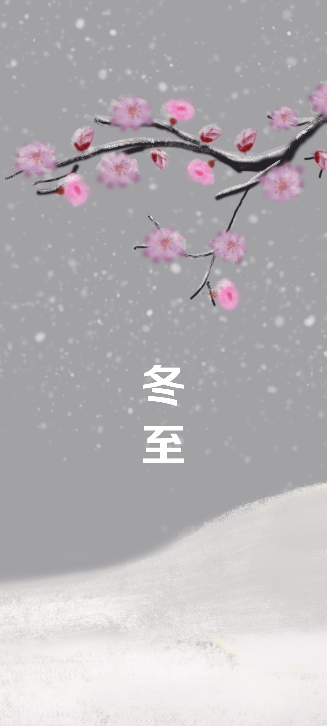  ÷ ѩ ֽ