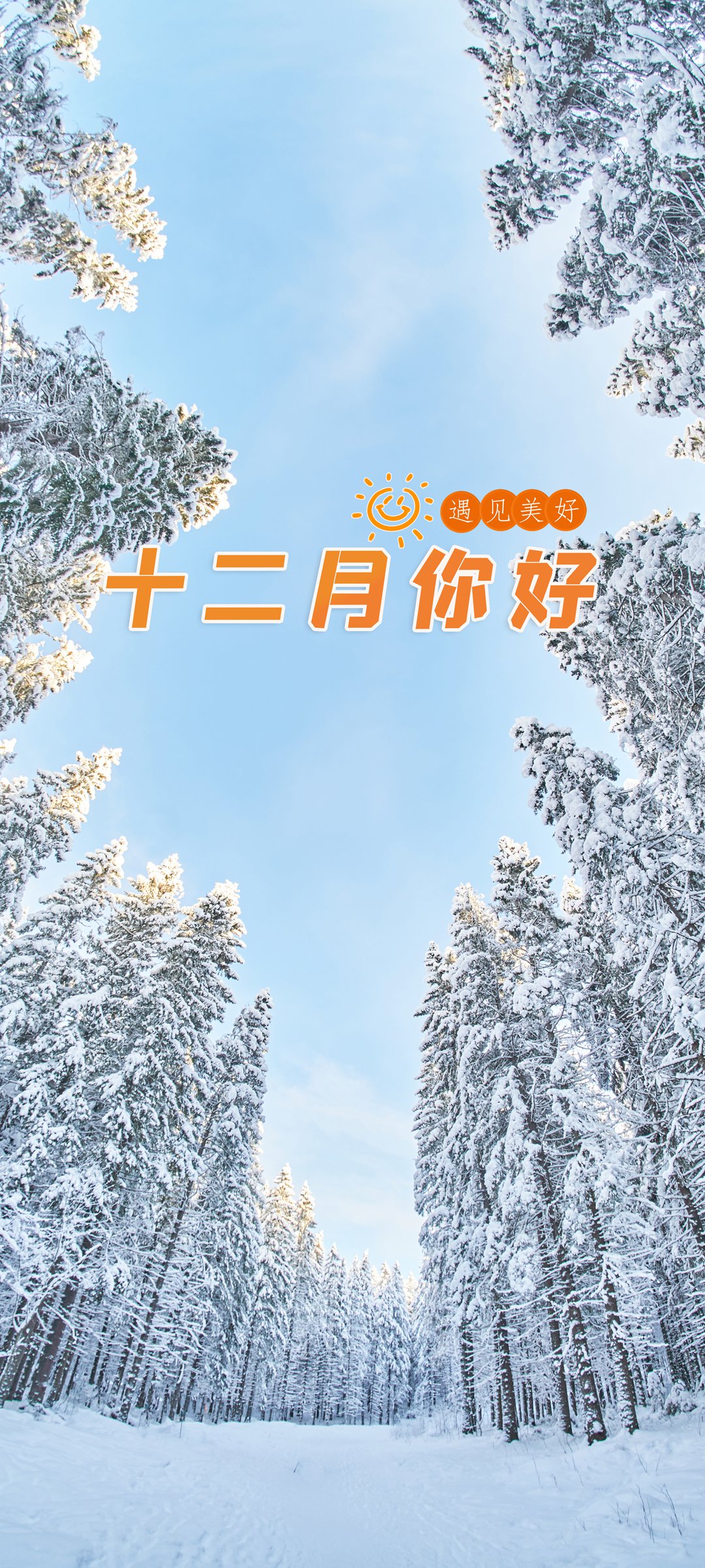 ʮ  ѩ  羰ֽ